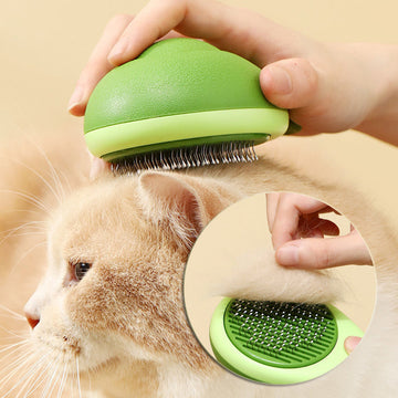 Pet Cleaning & Grooming